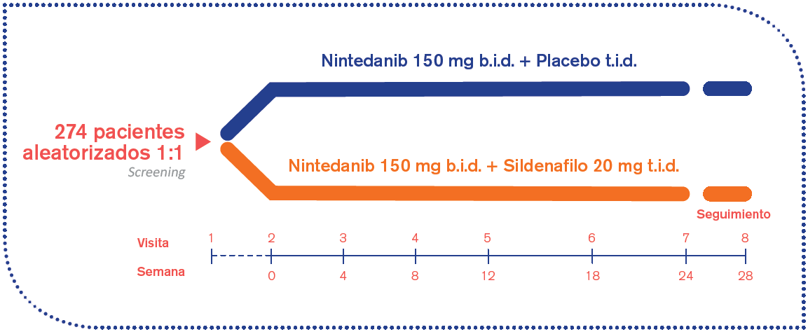 Sildenafil 150 Mg